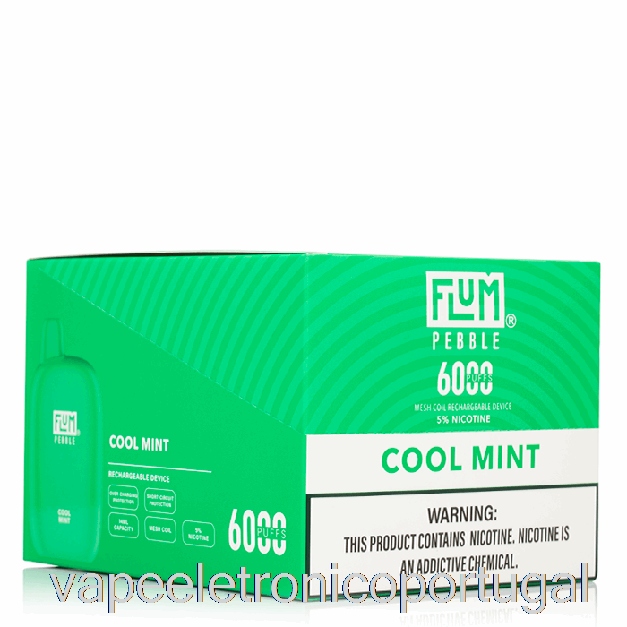 Vape Eletrônico [pacote Com 10] Flum Seixo 6000 Descartável